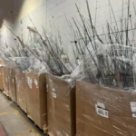 Fishing Gear wholesale Pallets - Image 5